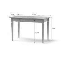 Ines_gray_desk_dimensions
