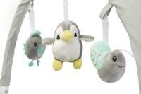 kivi_grey_10