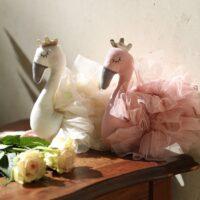 labod-roza-in-bel-