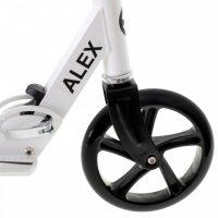 Alex-bela9