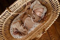 Basket_Percy_vintage_08