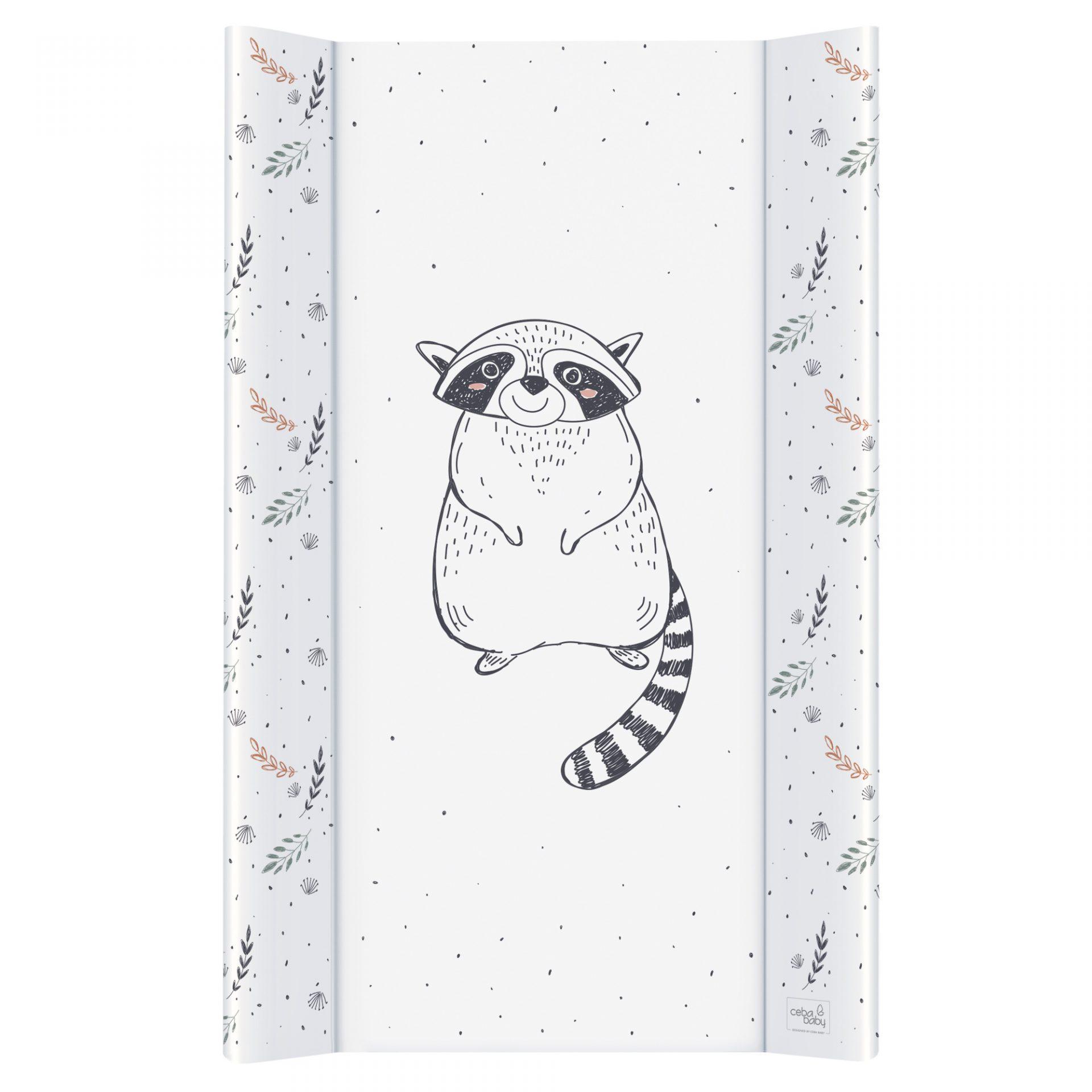 Raccoon_21271_1